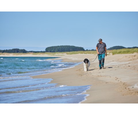 Hundebånd Move 170 cm grå