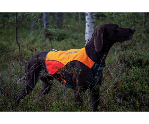Jaktdekken Protector organge/gul