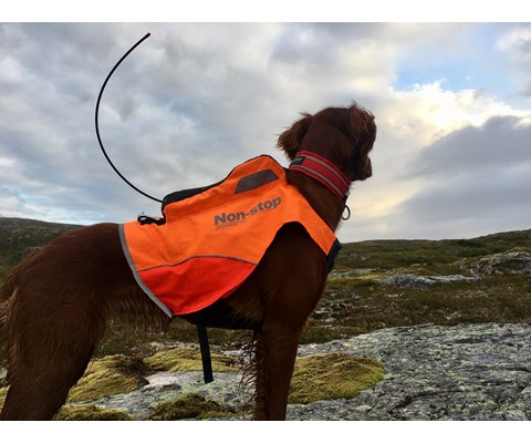 Jaktdekken Protector GPS oransje