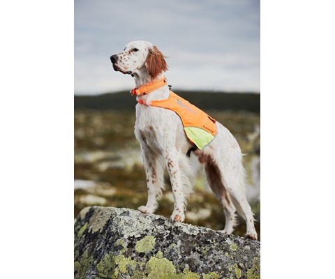 Jaktdekken Protector Cover oransje/gul