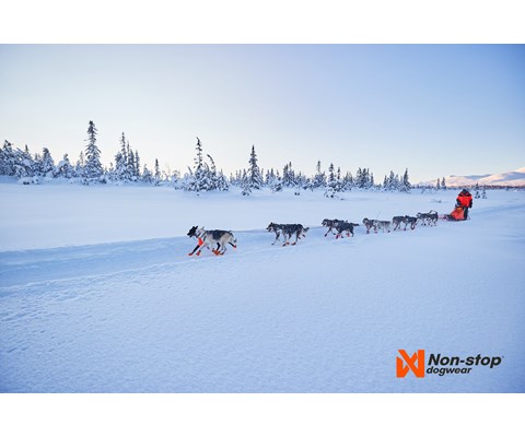 Trekksele Nansen Nome Harness