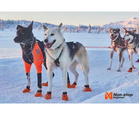 Trekksele Nansen Nome Harness