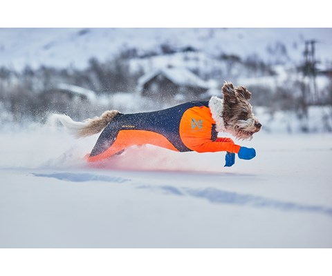 Heldress Protector hannhund svart/orange