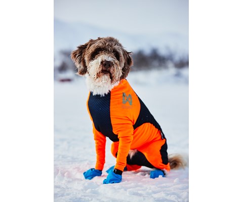 Heldress Protector hannhund svart/orange