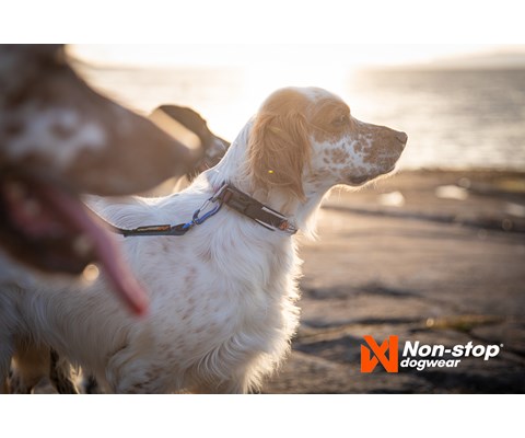 Halsbånd Roam svart