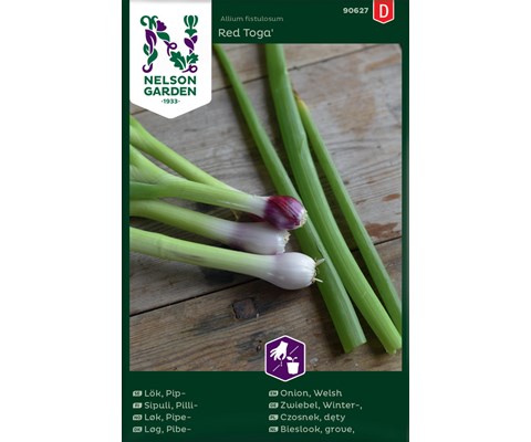 Frø pipeløk Red Toga