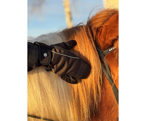 Ridevott vinter svart