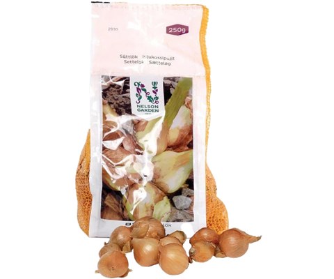 Setteløk sjalottløk Biztro 250 g