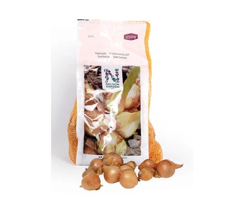 Setteløk sjalottløk Biztro 250 g