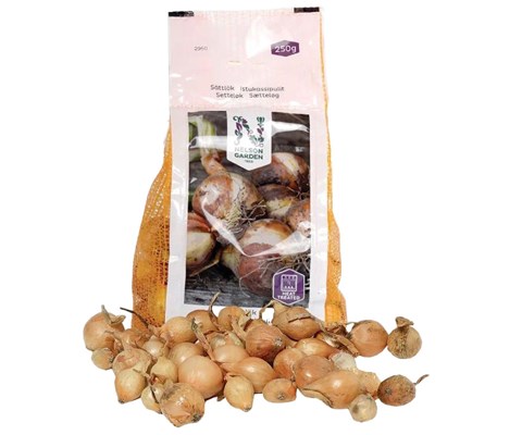 Setteløk gul løk Stuttgarter Riesen 250 g