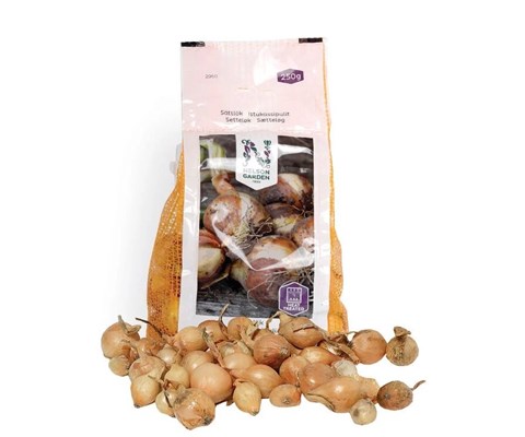 Setteløk gul løk Stuttgarter Riesen 250 g