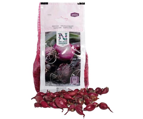 Setteløk rødløk Red Comred 250 g