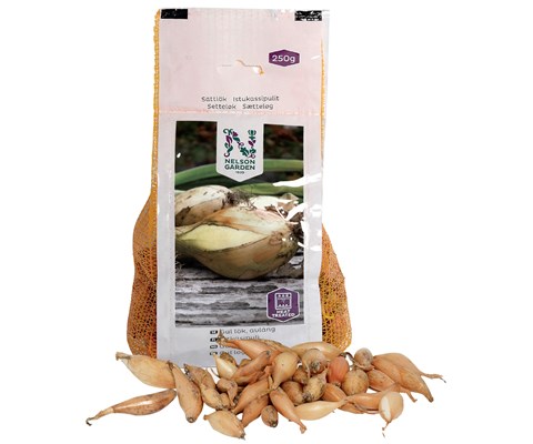 Setteløk gul løk avlang 250 g