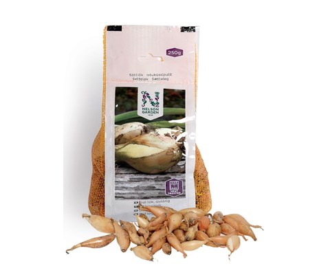 Setteløk gul løk avlang 250 g