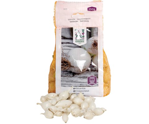 Setteløk sølvløk Snowball 250 g