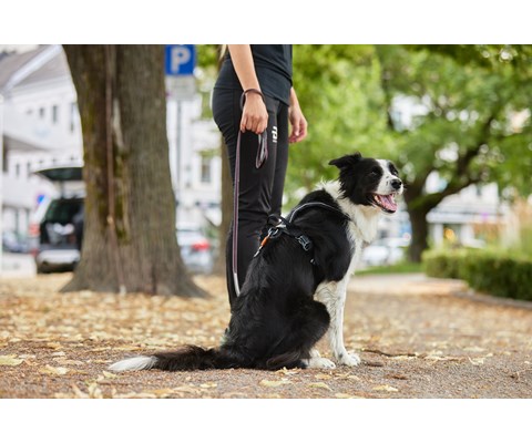 Kobbel Move 170 cm lilla