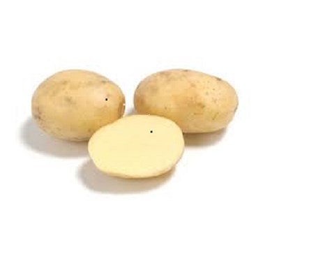 Settepotet Colomba 5 kg