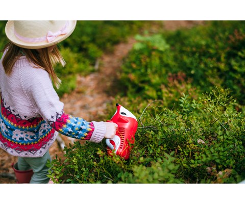 Bærplukker for barn med revedesign