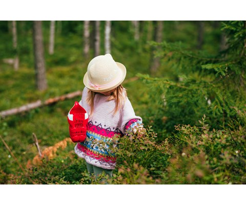 Bærplukker for barn med revedesign