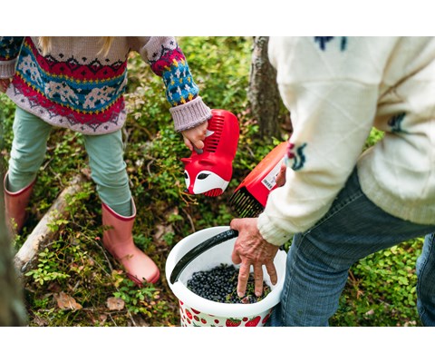 Bærplukker for barn med revedesign