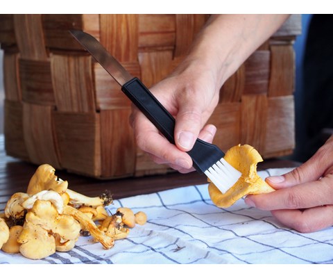 Soppkniv med børste