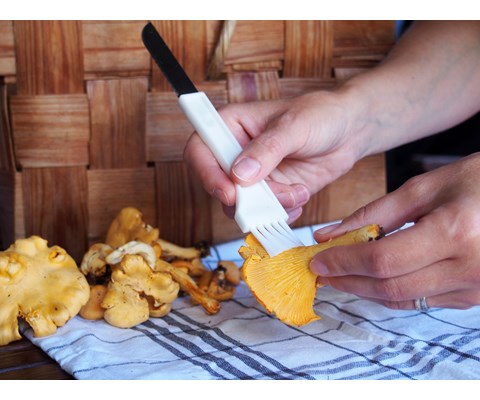 Soppkniv med børste