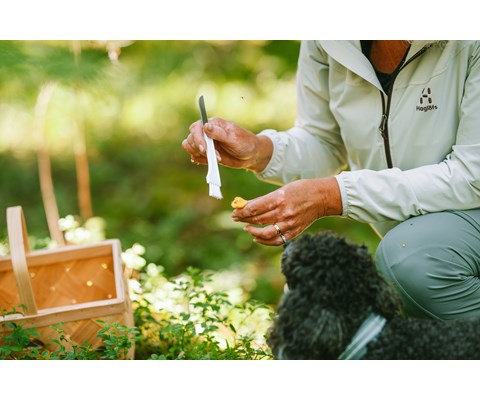 Soppkniv med børste