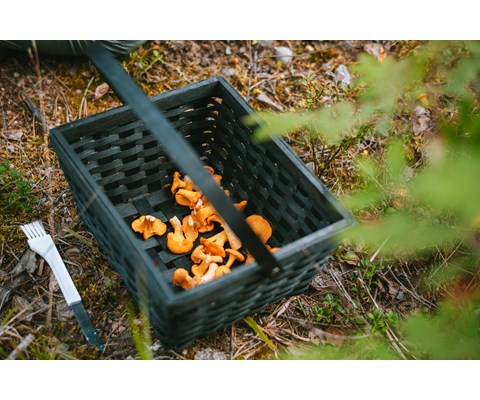 Soppkniv med børste