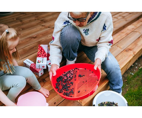 Frysepose med ziplås 30 x 1 L