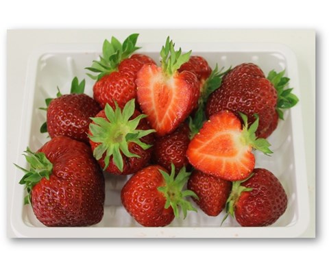 Jordbær 'Fragaria' 6 pk Glede