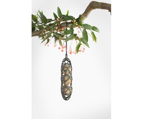 Fuglemater til meiseboller