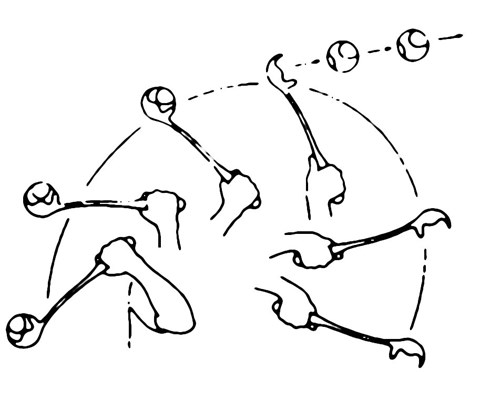 Tennisball-kaster med ball