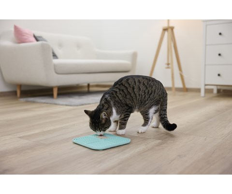 Slikkematte 20x20 cm