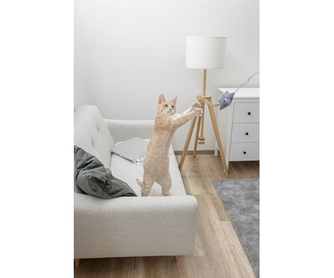 Katteleke fiskestang med stjerne