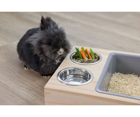 Mat og drikkestasjon Grave