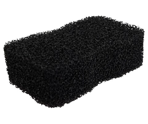 Svamp Tiger's Tongue