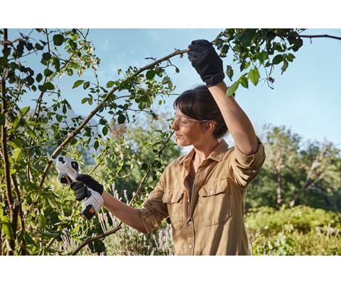 Batteridrevet grensaks ASA 20 SET