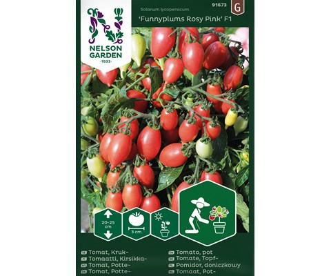 Frø cherrytomat potte Funnyplums Rosy Pink