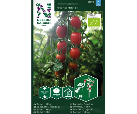 Frø tomat høy Monterrey økologisk