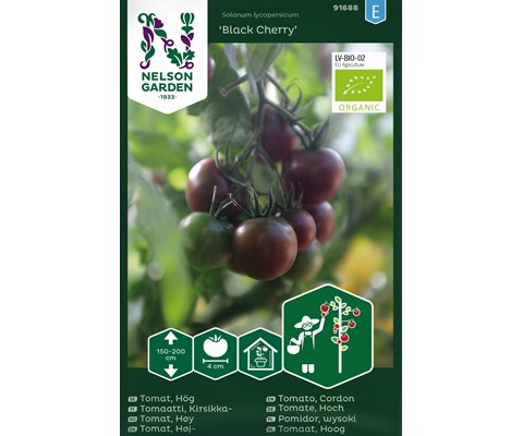 Frø tomat høy Black Cherry økologisk