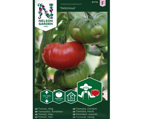 Frø tomat høy Delicious