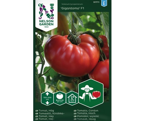 Frø tomat høy Gigantomo