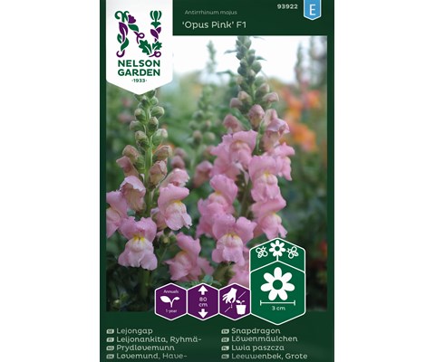 Frø prydløvemunn Opus Pink