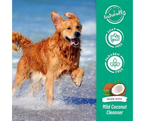 Shampoo Berrry Coconut 355 ml