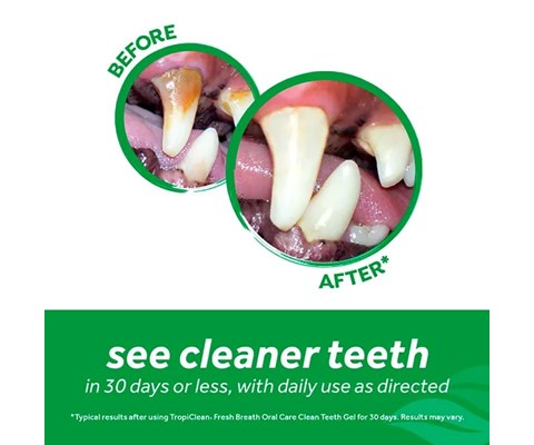 Tannkrem Clean Teeth Oral 59 ml