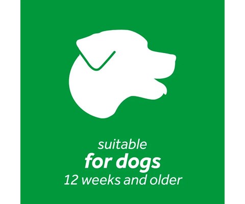 Tannkrem Clean Teath Gel 118 ml