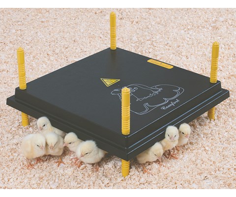 Kyllingmor Olba 40x40 cm