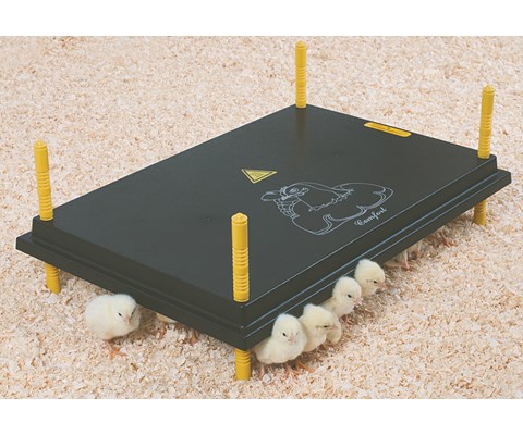 Kyllingmor Olba 40x60 cm