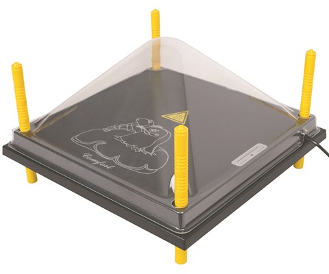 Tak til kyllingmor 40x40 cm