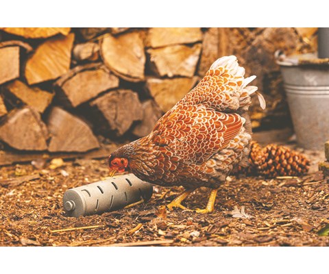 Snackrulle til høns